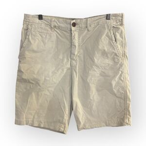 American Eagle Outfitters Tan Flat Front Shorts